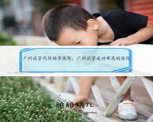 <b>广州试管代怀助孕医院，广州试管成功率高的医院</b>