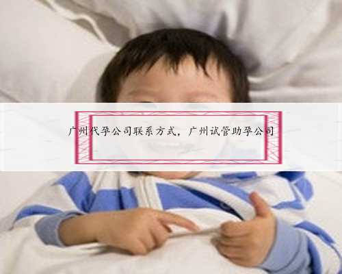 广州代孕公司联系方式，广州试管助孕公司