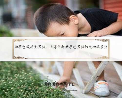 助孕包成功生男孩，上海供卵助孕包男孩的成功率多少