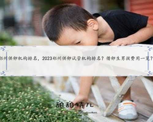 郑州供卵机构排名，2023郑州供卵试管机构排名？借卵生男孩费用一览？