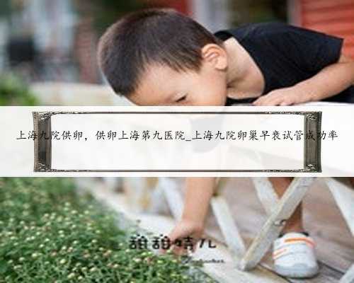 上海九院供卵，供卵上海第九医院_上海九院卵巢早衰试管成功率